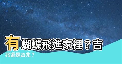 蝴蝶飛進 家裡幾號